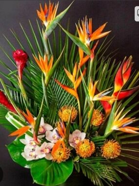 REBUNDLE @valjackson55